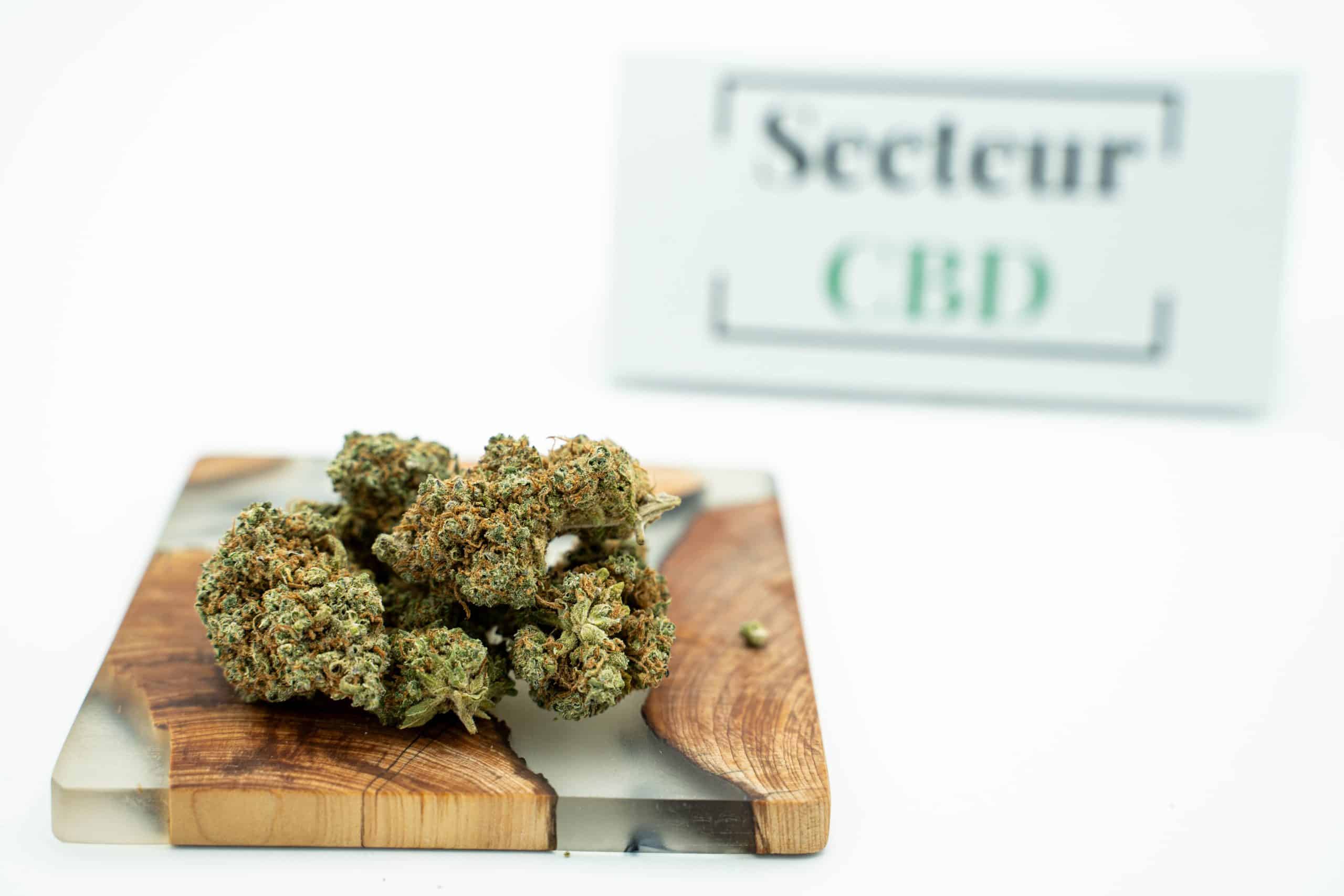 blueberyyDiesel3